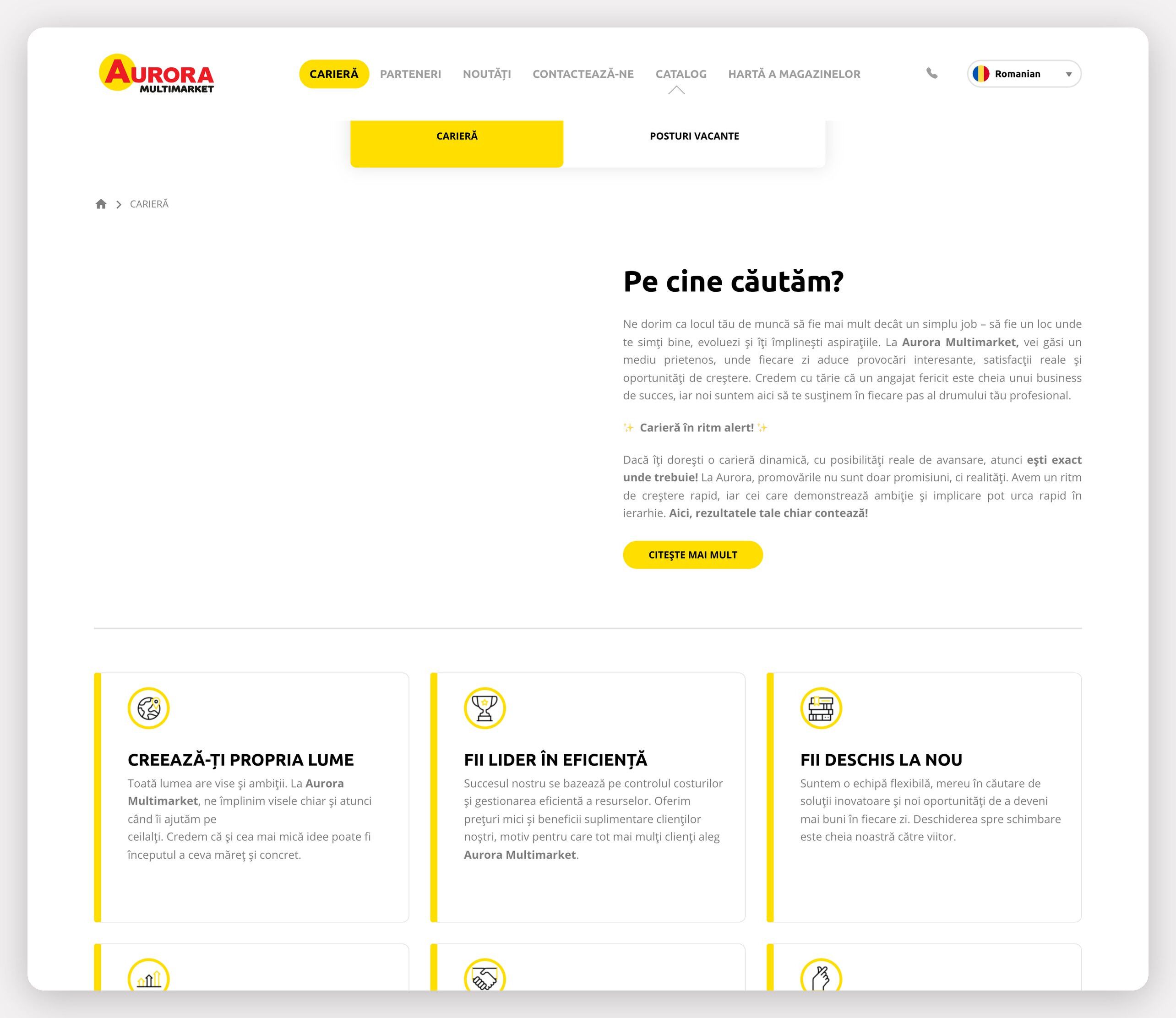 Avrora - Corporate websites